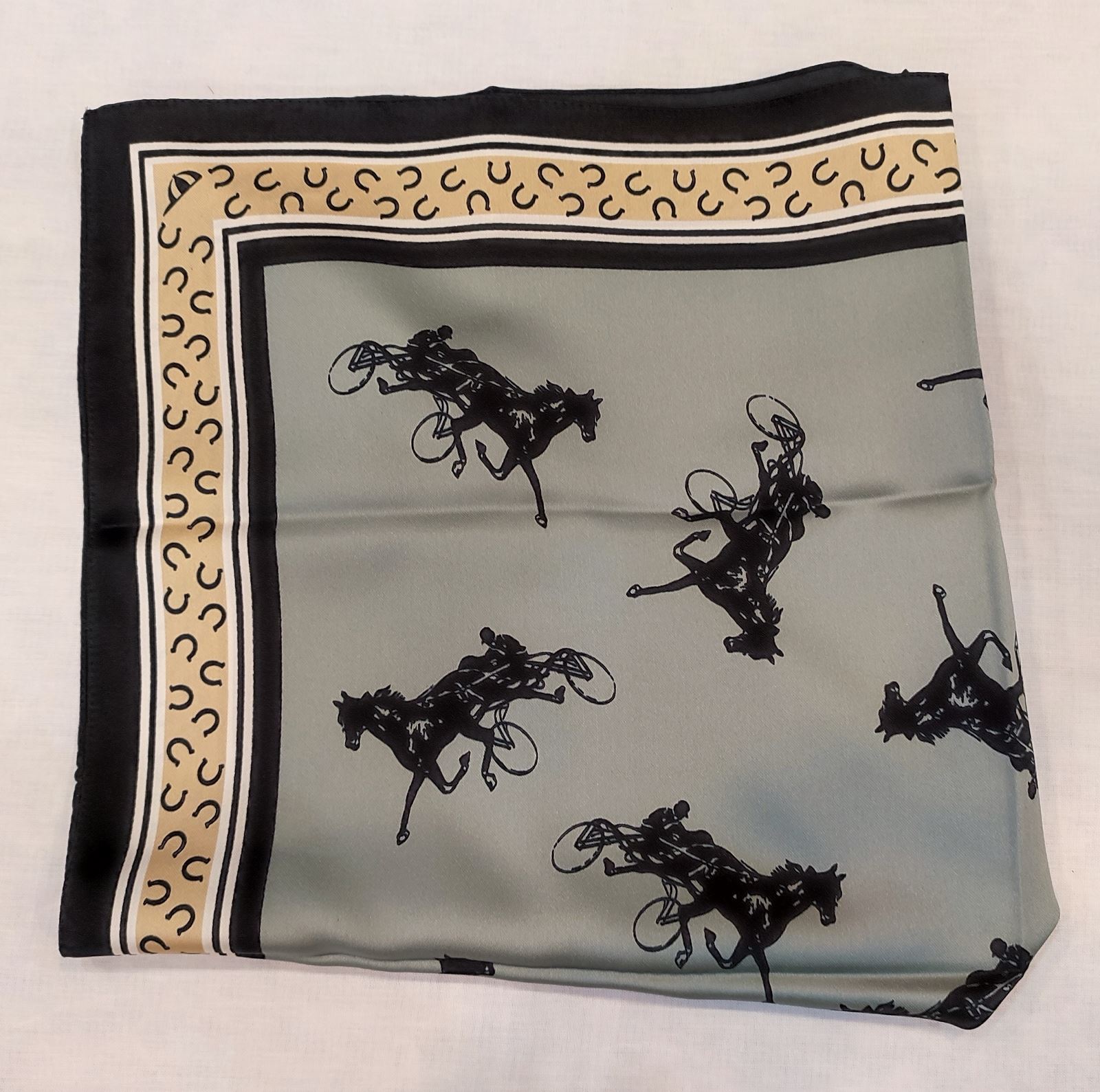 Pañuelo Campero PEQUEÑO Carruaje - Imagen 2