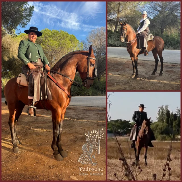 ✨ Gracias, María Divay ✨
Guapísima luciendo su traje campero de Pedroche Gitana junto a su caballo Omega.
¡Elegancia, tradición y mucho arte! 🤠🐎❤️
Ha sido un placer atenderte 😍

#PedrocheGitana #TrajeCampero #ModaCampera #Flamencura #EstiloEcuestre #OrgulloAndaluz #CaballoOmega #TradiciónAndaluza #CamperoConClase #PasiónPorLaTradición #ModaConAlma #RaícesAndaluzas #